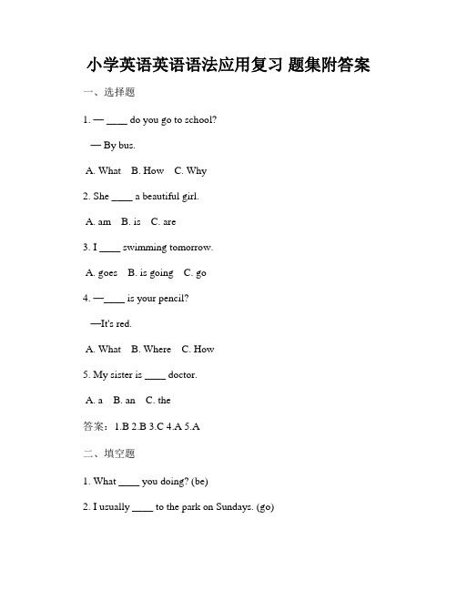 小学英语英语语法应用复习 题集附答案