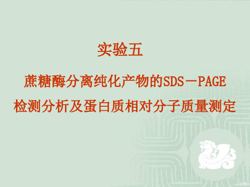 蔗糖酶分离纯化产物的SDS-PAGE检测分析及蛋白质相对分子质量测定(精)