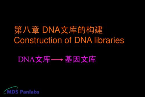 第八章 DNA文库的构建