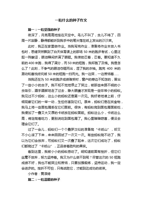 一粒什么的种子作文