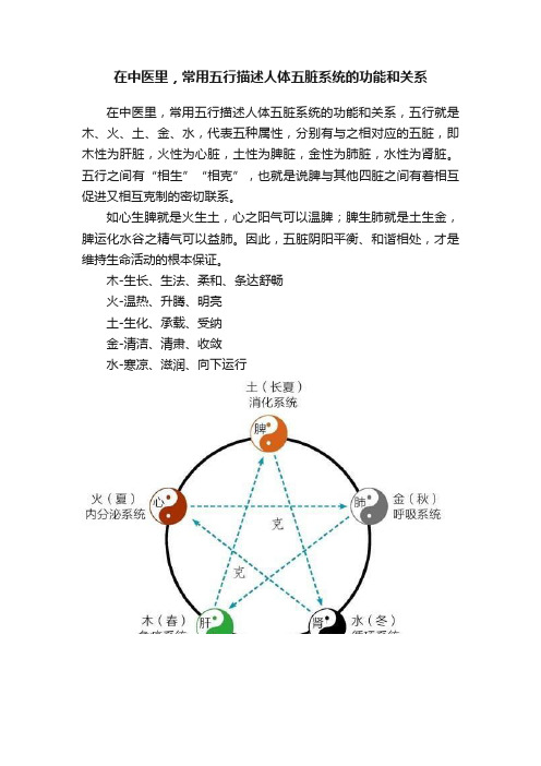 在中医里，常用五行描述人体五脏系统的功能和关系