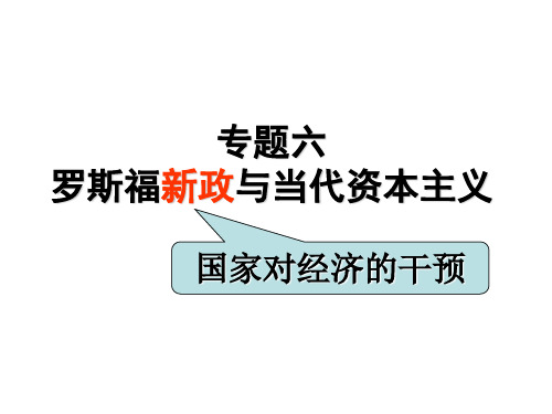 专题六罗斯福新政与当代资本主义