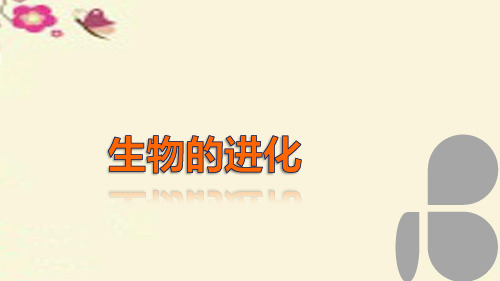 高中生物 第五章 生物的进化 第24课时 生物进化理论(