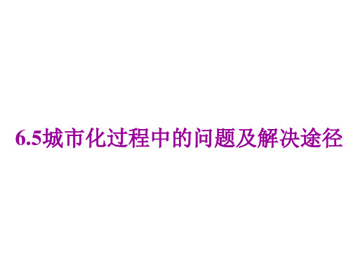 城市化过程中的问题及解决途径ppt