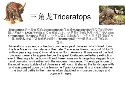 三角龙Triceratops