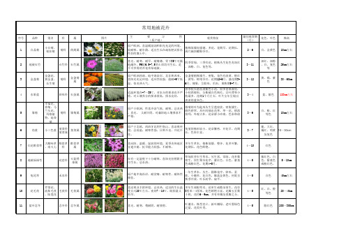 常用地被花卉