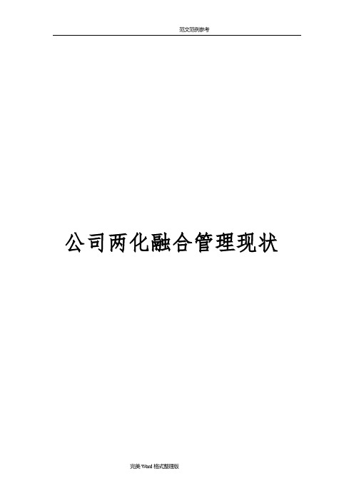 公司两化融合管理现状