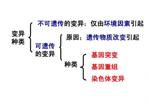 5.1基因突变和基因重组