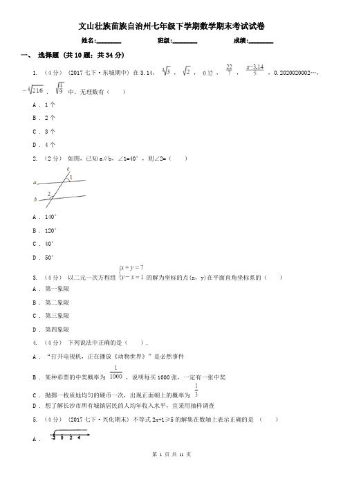 文山壮族苗族自治州七年级下学期数学期末考试试卷