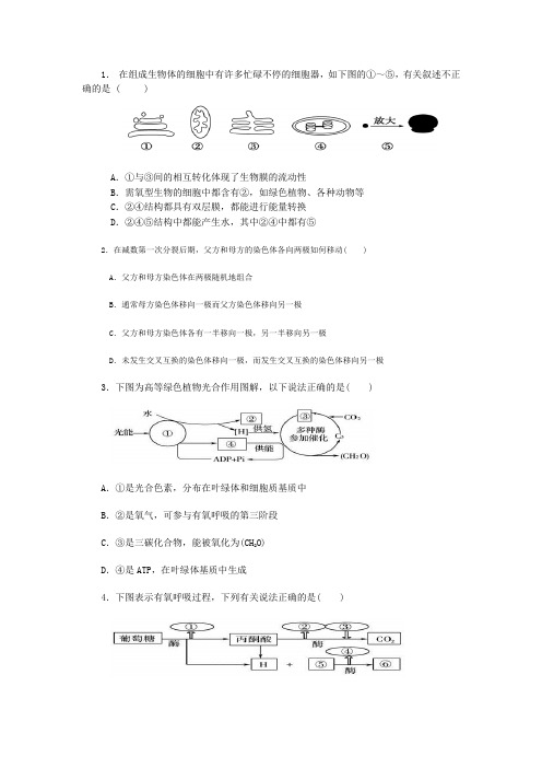 珠海市第四中学2012届高三第10周周测生物试卷