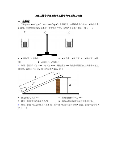 上海三林中学北校简单机械中考专项复习训练