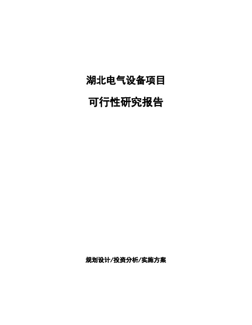 湖北电气设备项目可行性研究报告