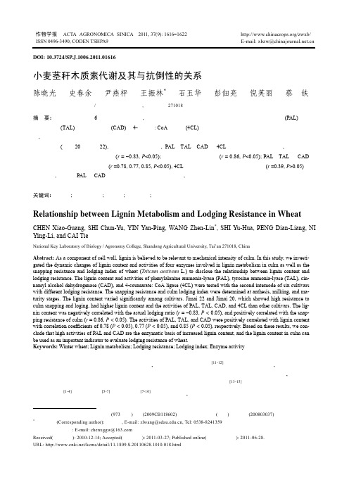 小麦茎秆木质素代谢及其与抗倒性的关系