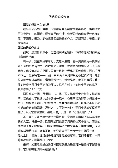 团结的蚂蚁作文15篇