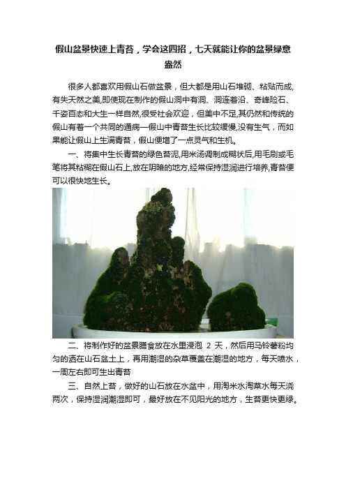 假山盆景快速上青苔，学会这四招，七天就能让你的盆景绿意盎然