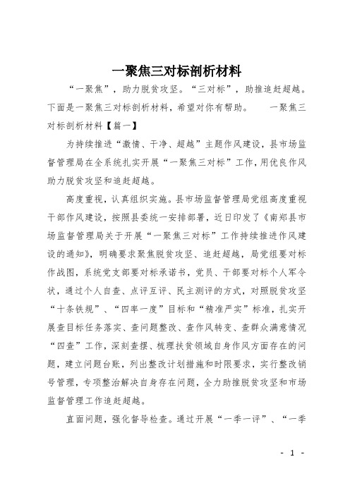 一聚焦三对标剖析材料_0