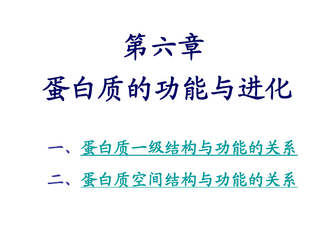 第六章 蛋白质的功能与进化