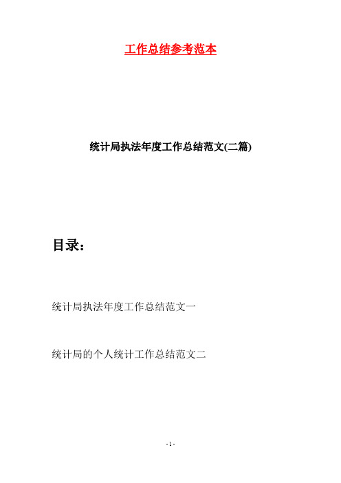统计局执法年度工作总结范文(二篇)