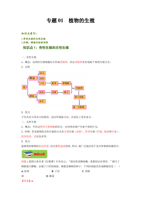 专题01 植物的生殖(解析版)-2021-2022学年八年级上学期期末复习之重难点突破(人教版)