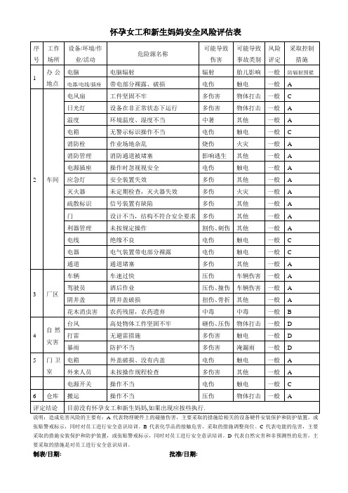 怀孕女工和新生妈妈安全风险评估表