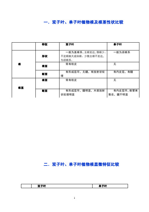 双子叶与单子叶植物的比较