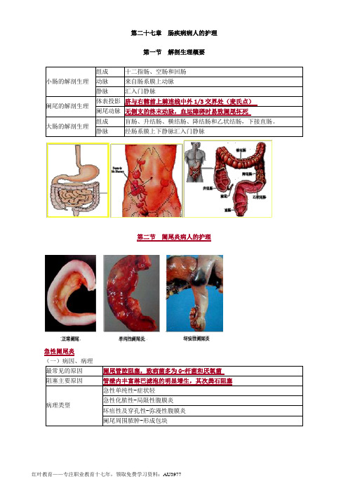 初级护师外科护理学知识点总结27肠疾病病人的护理