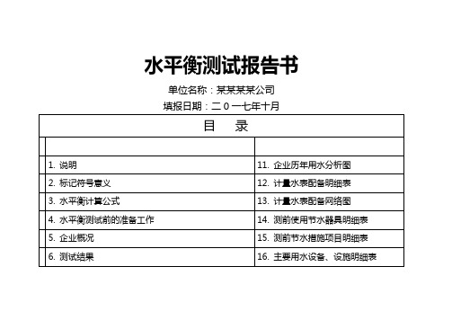 水平衡测试报告书