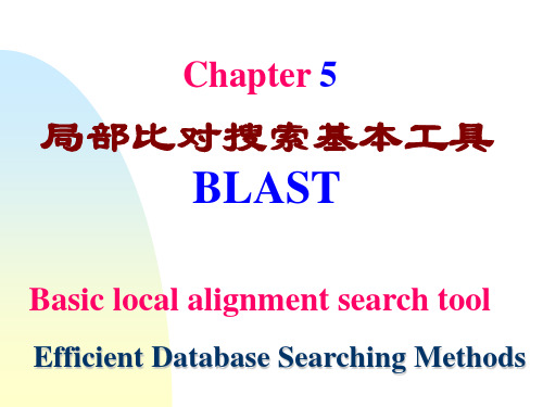 生物信息学 chapter05_blast(tingke)