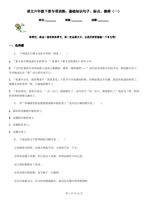 语文六年级下册专项训练：基础知识句子、标点、修辞(一)