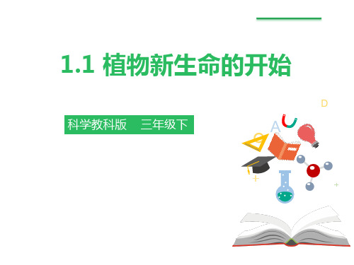 《植物新生命的开始》植物的生长变化公开课—PPT下载