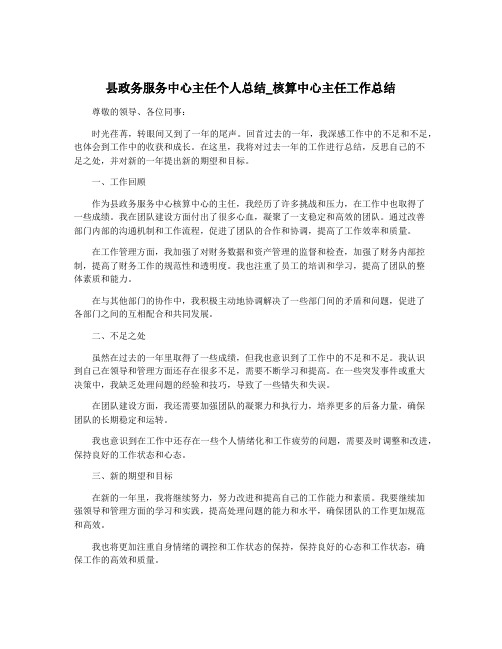 县政务服务中心主任个人总结_核算中心主任工作总结