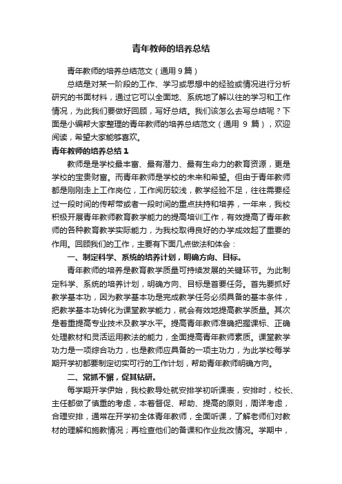 青年教师的培养总结