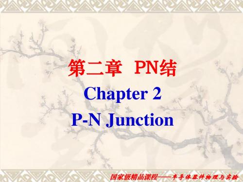 第二章 PN结 (1)