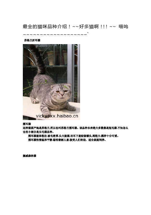 猫的种类