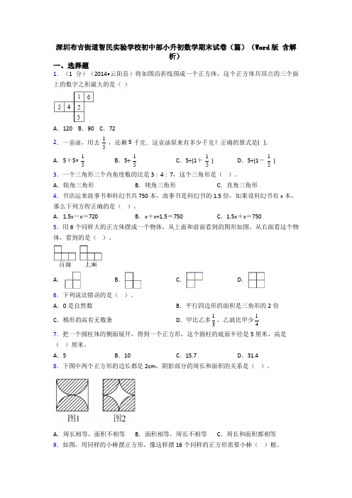 深圳布吉街道智民实验学校初中部小升初数学期末试卷（篇）（Word版 含解析）