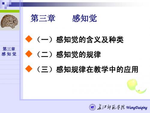 第三章 认知过程(感知觉)