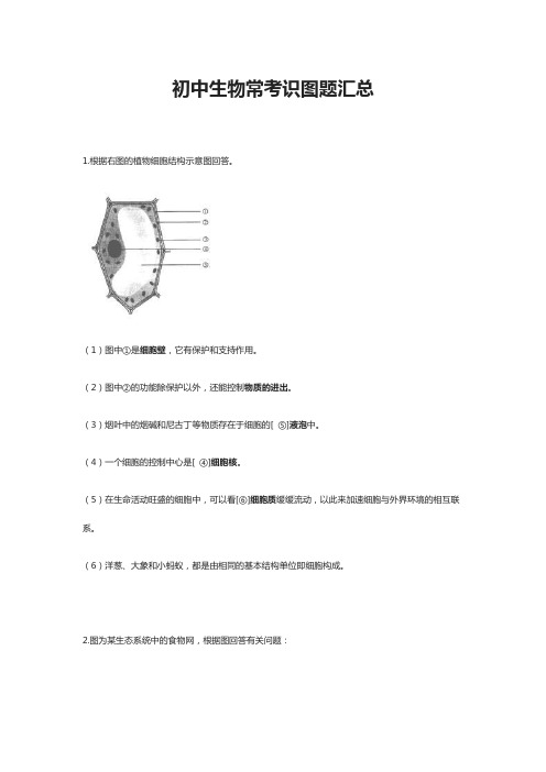 初中生物常考识图题汇总