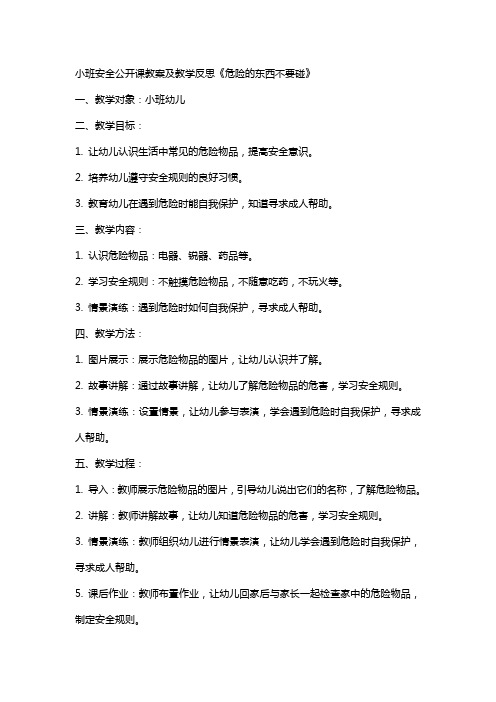 小班安全公开课教案及教学反思《危险的东西不要碰》