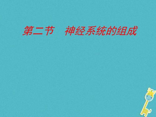 七年级生物下册第四单元第六章第二节神经系统的组成课件3(新版)新人教版