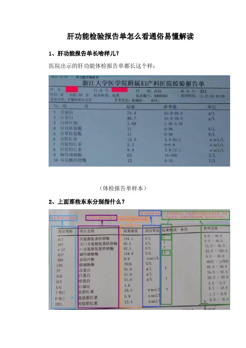 肝功能检验报告单怎么看通俗易懂解读