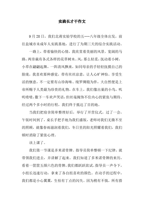 实践长才干作文