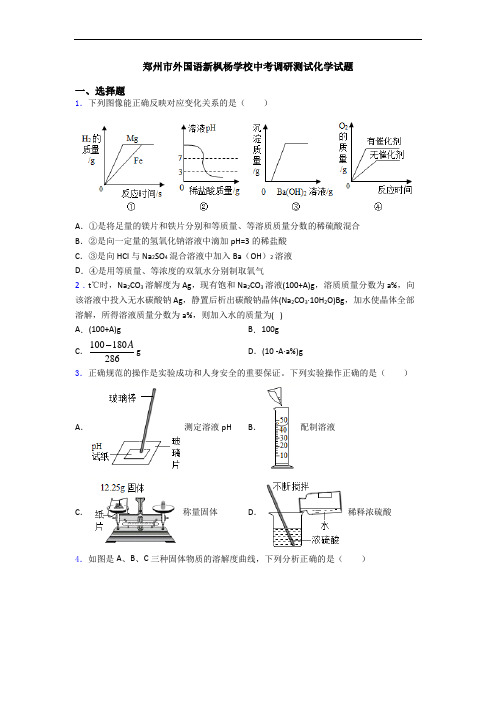 郑州市外国语新枫杨学校中考调研测试化学试题