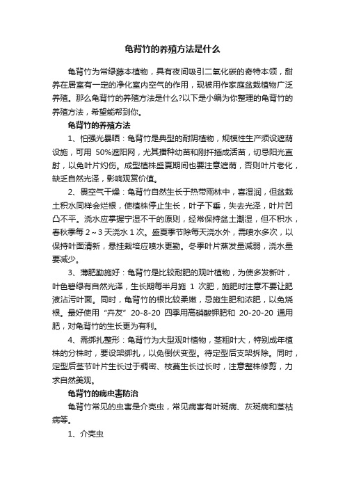 龟背竹的养殖方法是什么