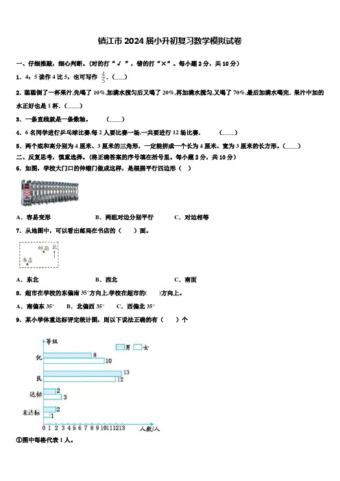 镇江市2024届小升初复习数学模拟试卷含解析