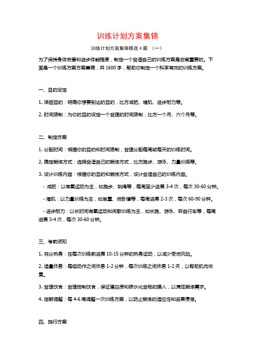 训练计划方案集锦4篇