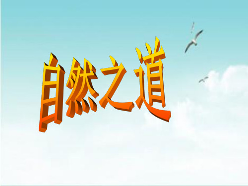 9 自然之道