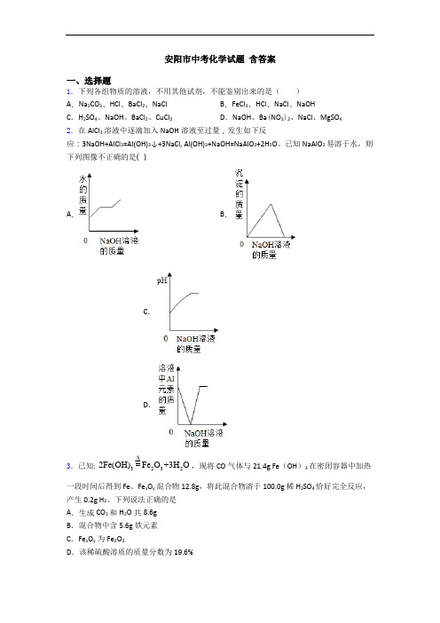 安阳市中考化学试题 含答案