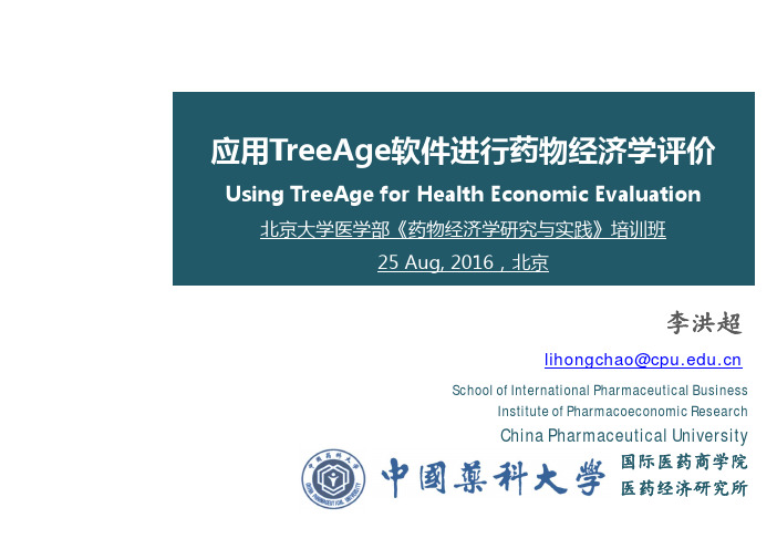 李洪超老师——Treeage