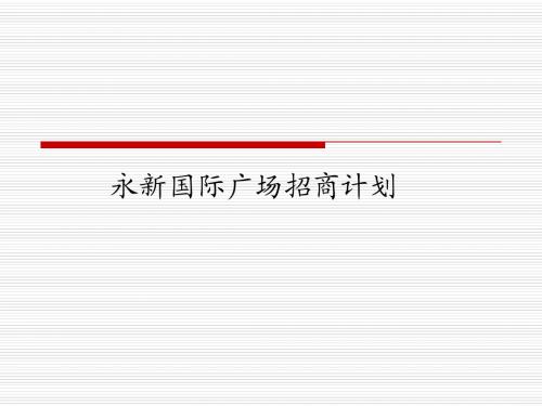 永新国际广场招商计划研究报告231066096