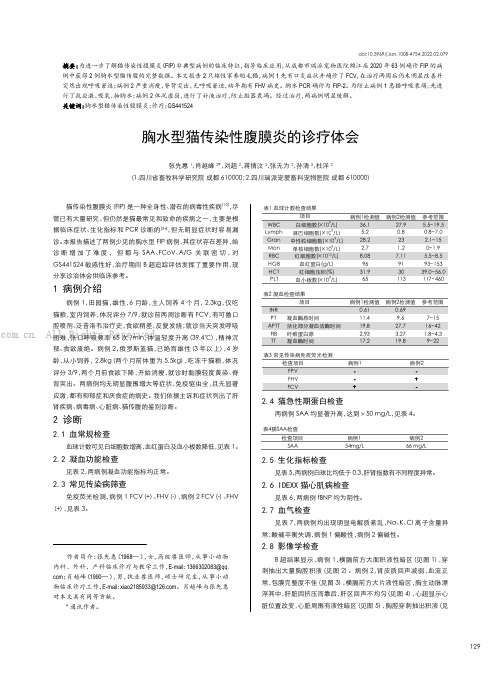 胸水型猫传染性腹膜炎的诊疗体会